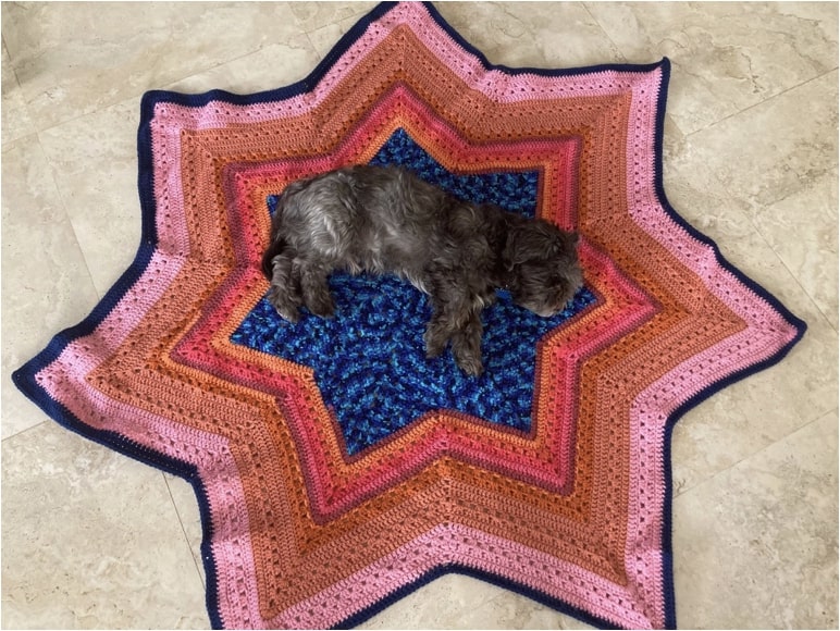 A picture of a small dog lying on top of a colorful star-shaped blanket