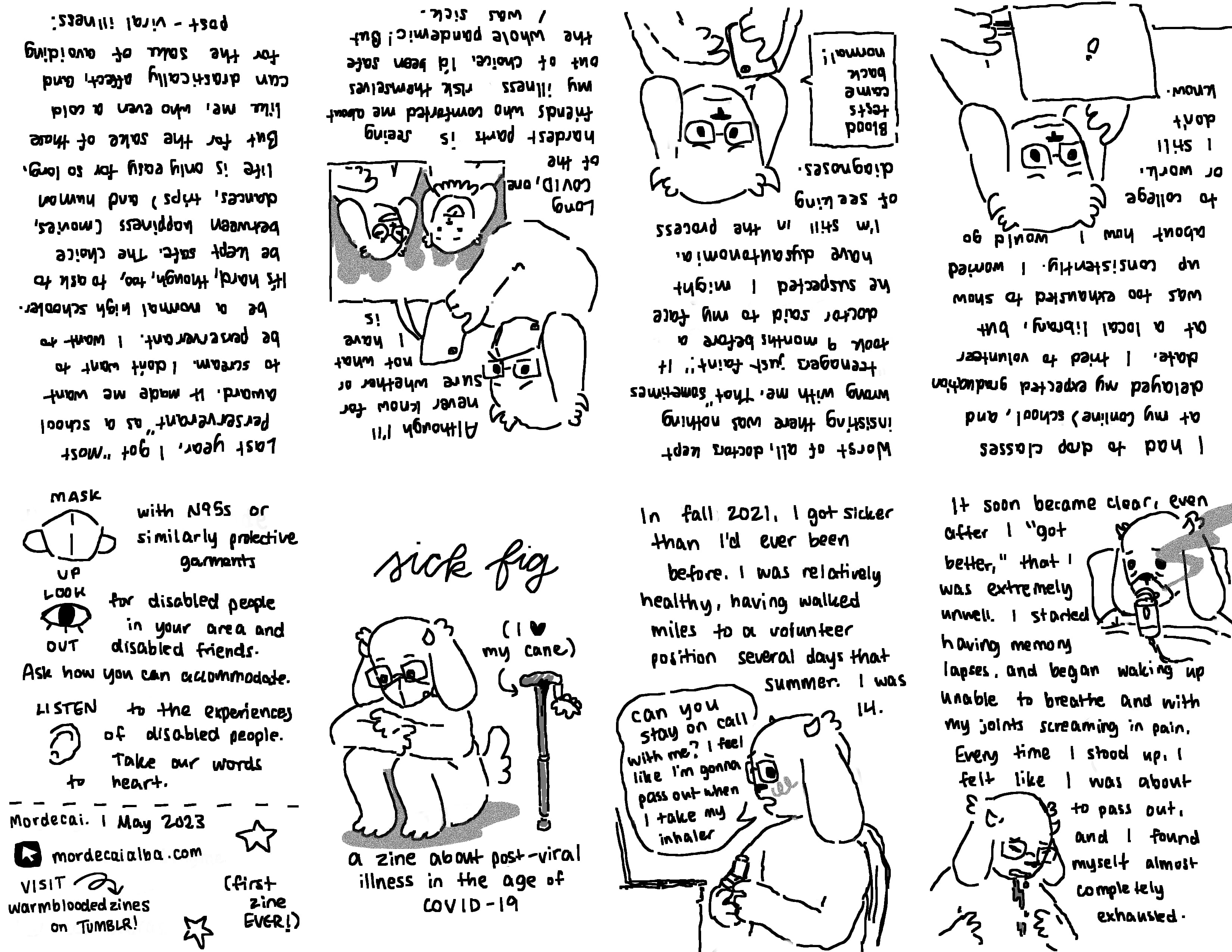 A zine in an 8-page layout. The first page has 'sick fig' written at the top in cursive, over an anthropomorphic jackalope with pointed horns, who is sitting on the ground with a mask and glasses on, next to a cane. In parentheses are (I heart my cane). At the bottom reads, 'a zine about post-viral illness in the age of COVID-19.' The second page says, 'In fall 2021, I got sicker than I'd ever been before. I was relatively healthy, having walked miles to a volunteer position several days that summer. I was 14.' The jackalope is sitting at a computer holding an inhaler, and looks anxious while saying, 'can you stay on call with me? I feel like I'm gonna pass out when I take my inhaler.' The third page says, 'It soon became clear, even after I 'got better,' that I was extremely unwell. I started having memory lapses, and began waking up unable to breathe and with my joints screaming in pain. Every time I stood up, I felt like I was about to pass out, and I found myself almost completely exhausted.' There are several small images: one of the jackalope in bed, tired with a nebulizer, and one of the jackalope vomiting. The fourth page says, 'I had to drop classes at my (online) school, and delayed my expected graduation date. I tried to volunteer at a local library, but was too exhausted to show up consistently. I worried about how I would go to college or work. I still don't know.' There is a picture of the jackalope at a computer, looking anxious. The fifth page says, 'Worst of all, doctors kept insisting there was nothing wrong with me. That 'sometimes teenagers just faint.' It took 9 months before a doctor said to my face he suspected I might have dysautonomia. I'm still in the process of seeking diagnoses.' There is a picture of the jackalope looking at a phone and frowning, while a bubble appears from the phone that reads, 'Blood tests came back normal!' The sixth page says, 'Although I'll never know whether or not what I have is Long COVID, one of the hardest parts is seeing friends who comforted me about my illness risk themselves out of choice. I'd been safe the whole pandemic! But I was sick.' There is a picture of the jackalope with a mask on looking at a phone, on which a picture of two other rabbits can be seen where they are in a large crowd, laughing. The seventh page says, 'Last year, I got 'Most Perserverant' as a school award. It made me want to scream. I don't want to be perserverant. I want to be a normal high schooler. It's hard, though, to ask to be kept safe. The choice between happiness (movies, dances, trips) and human life is only easy for so long. But for the sake of those like me, who even a cold can drastically affect, and for the sake of avoiding post-viral illness:' The eighth page says, 'MASK UP' (with a picture of a mask) 'with N95s or similarly protective garments,' 'LOOK OUT' (with a picture of an eye) 'for disabled people in your are and disabled friends. Ask how you can accommodate,' 'LISTEN' (with a picture of an ear) 'to the experiences of disabled people. Take our words to heart.' Below these is a dotted line, underneath which says: 'Mordecai. 1 May 2023.' There is an image of a cursor next to 'mordecaialba.com', then VISIT in all caps with an arrow pointing to 'warmbloodedzines on TUMBLR!' Additionally, there are several stars, and '(first zine EVER!)'