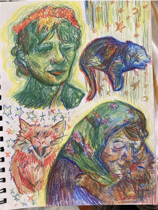 A picture of a sketchbook depicting various portraits in colored pencil and ink.